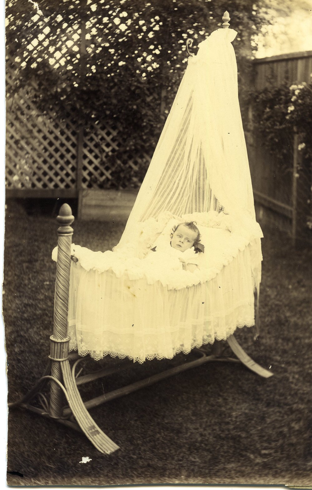 Howard Florey in a cradle age approximately 6 months, c1898