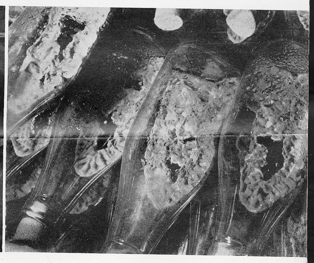 Bottles - Associated with Howard Florey