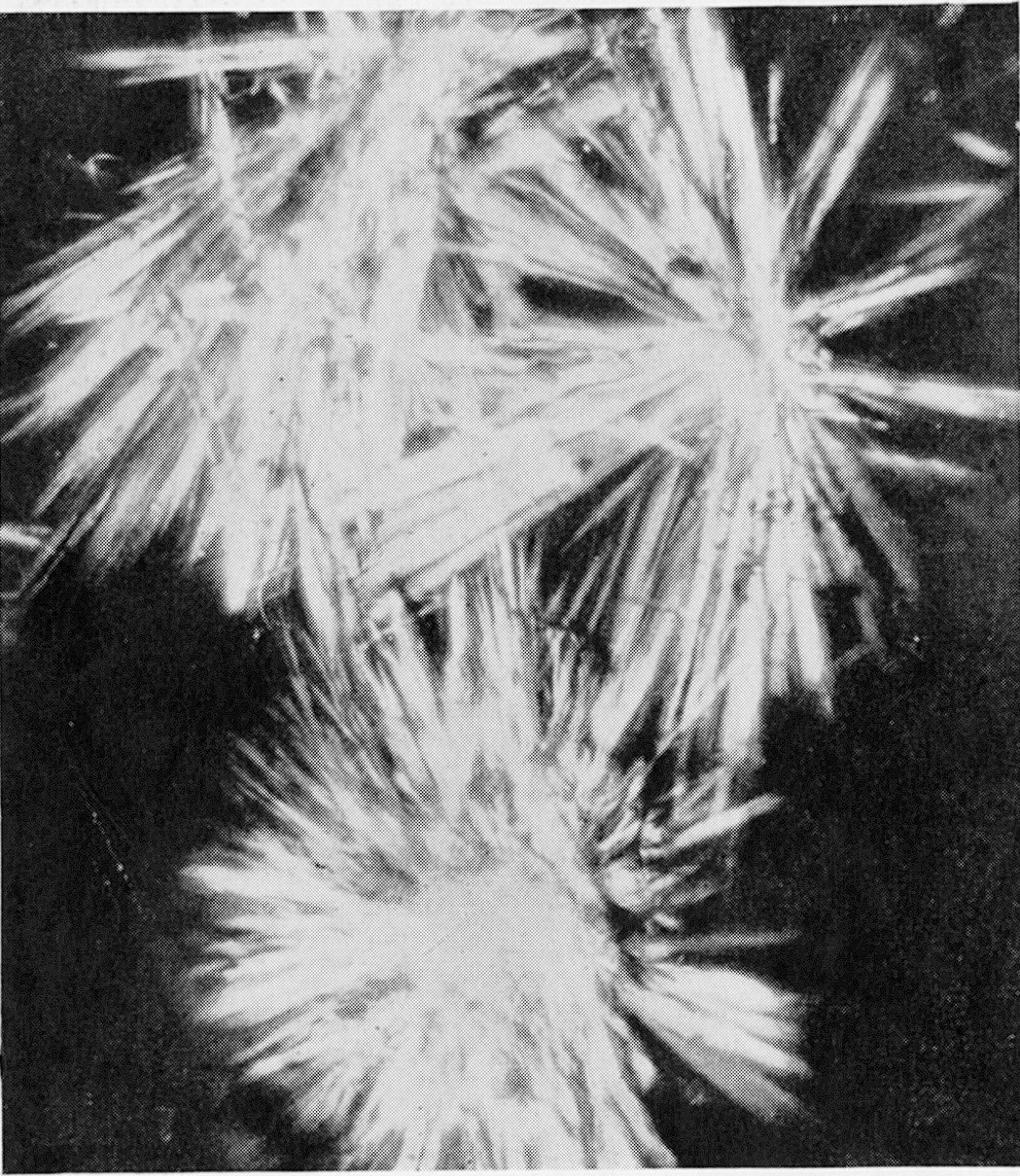Crystals - Associated with Howard Florey