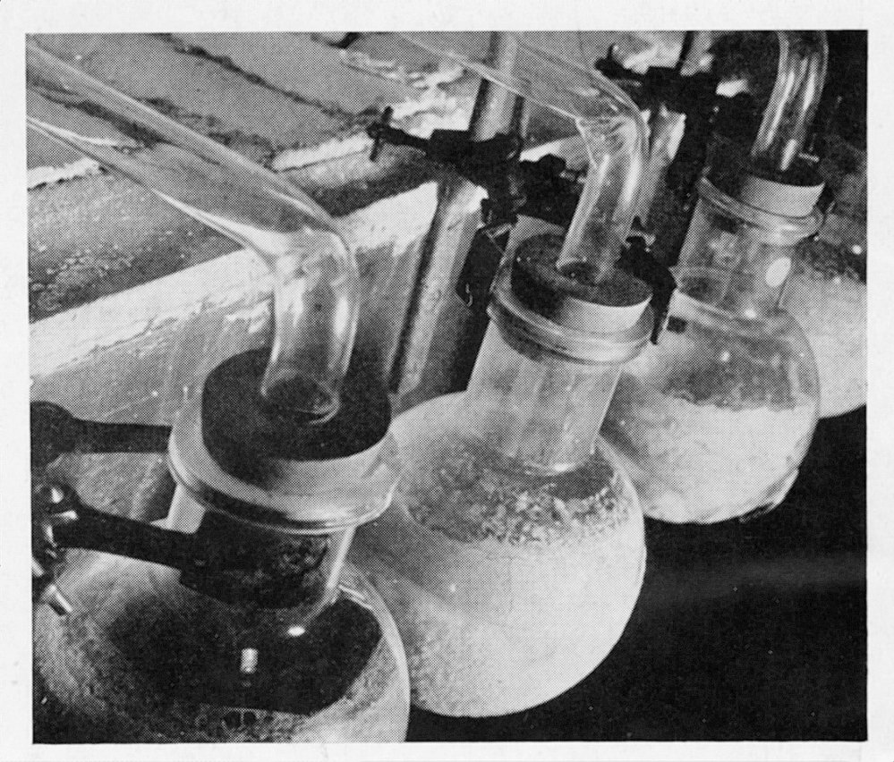 Flasks - Associated with Howard Florey