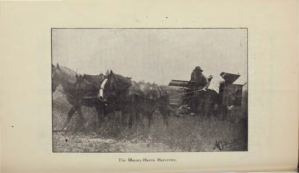 Roseworthy Student Vol 2 No 3 February 1903