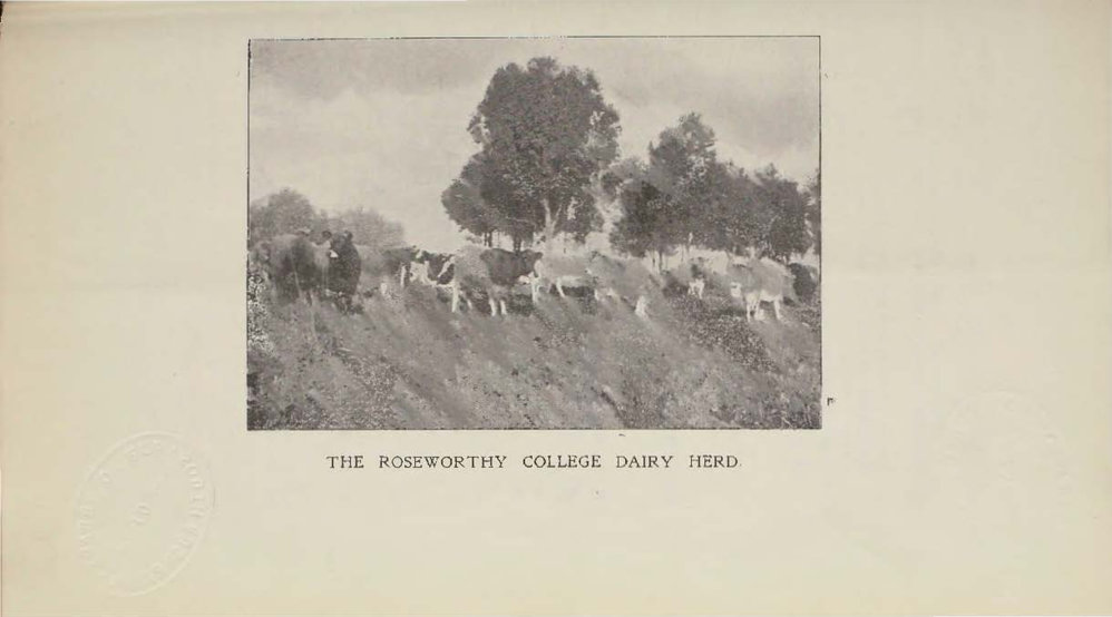 Roseworthy Student Vol 3 No 2 November 1903