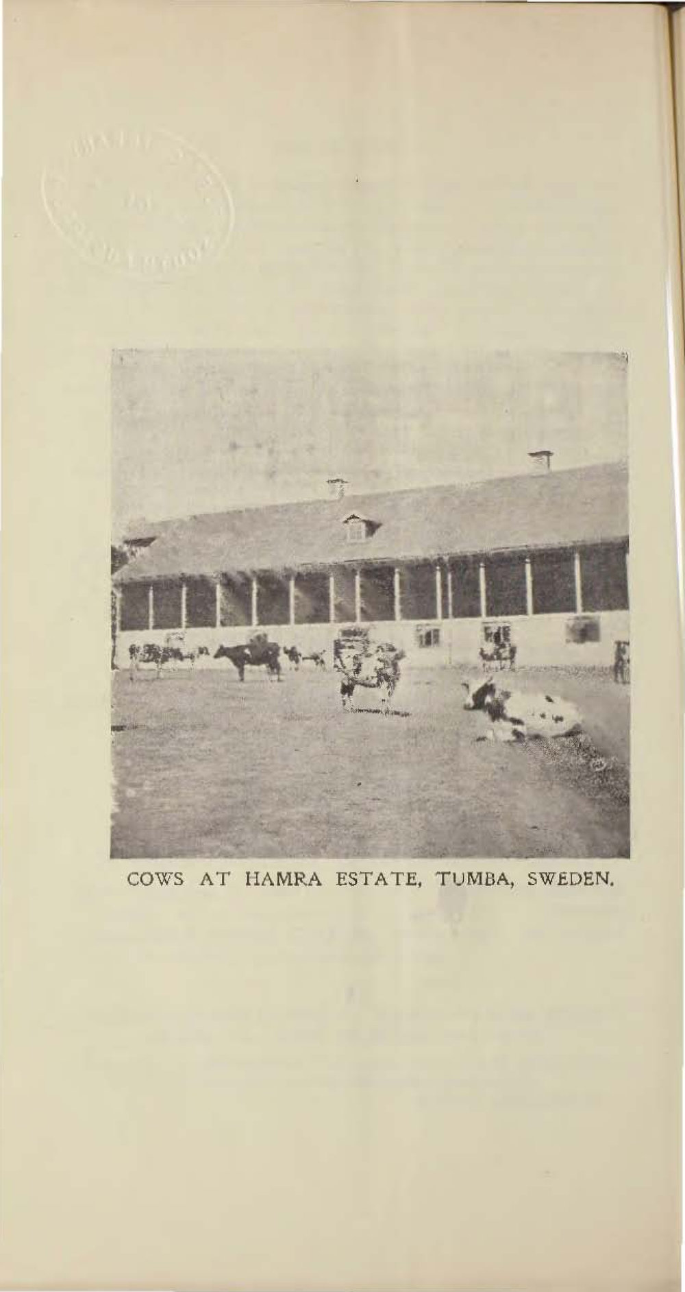 Roseworthy Student Vol 3 No 3 June 1904