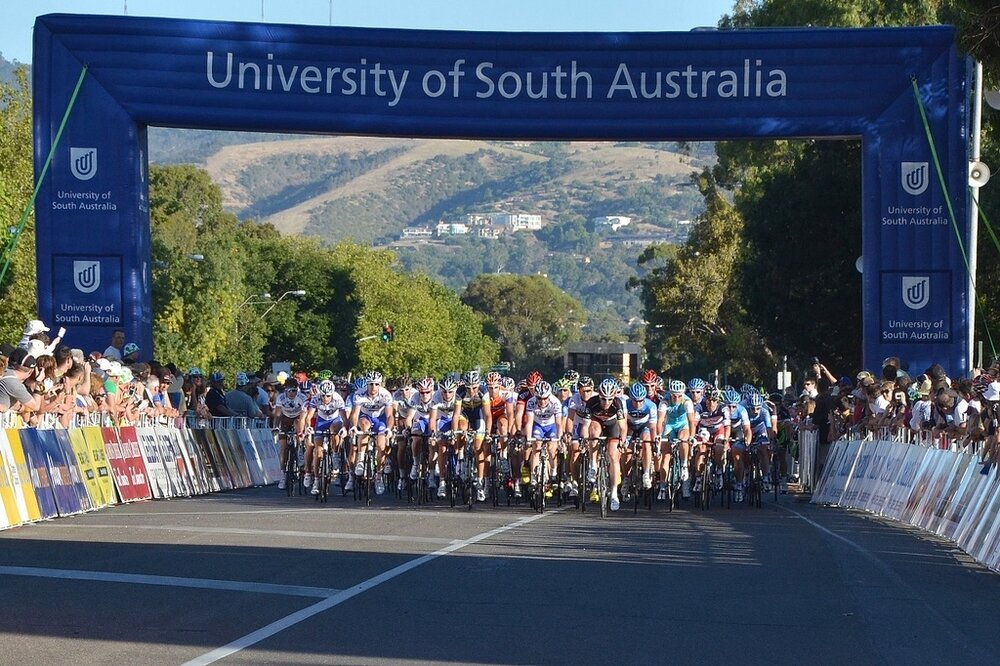 The TDU arch