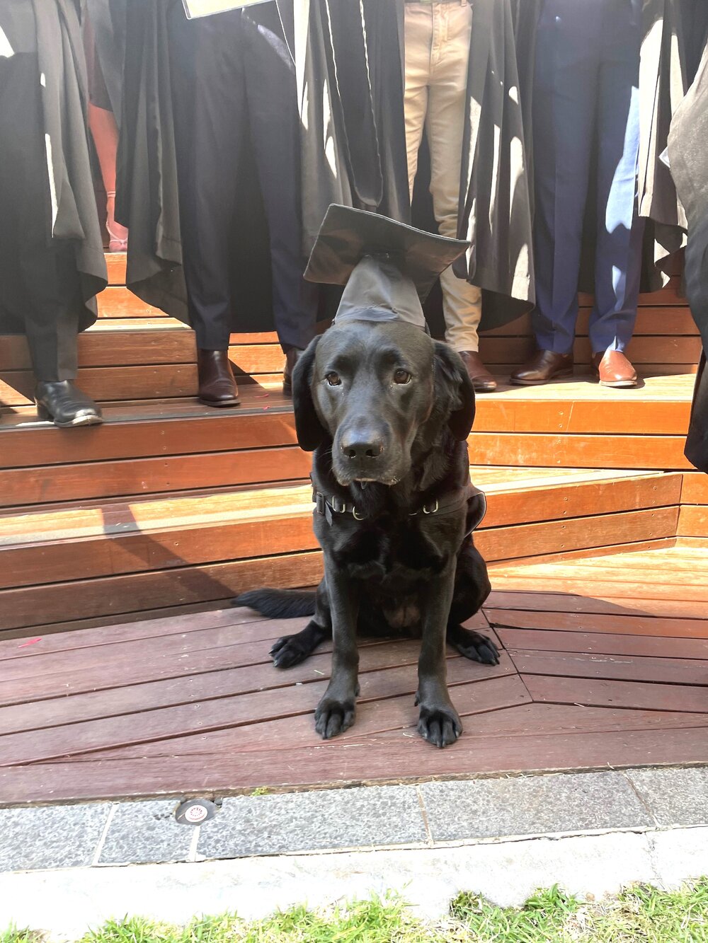 Australia's first pawdiatrist