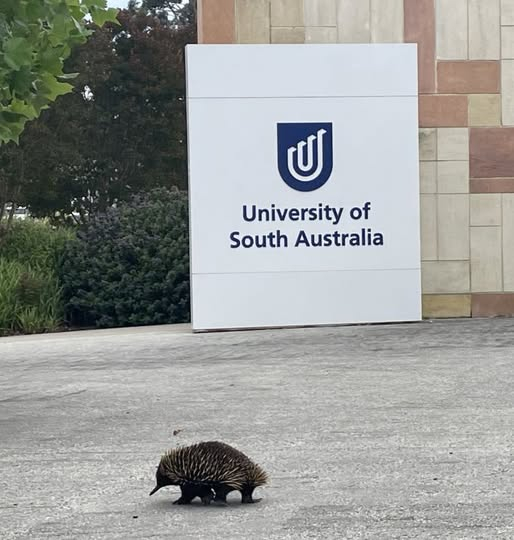 Mount Gambier will accept any student