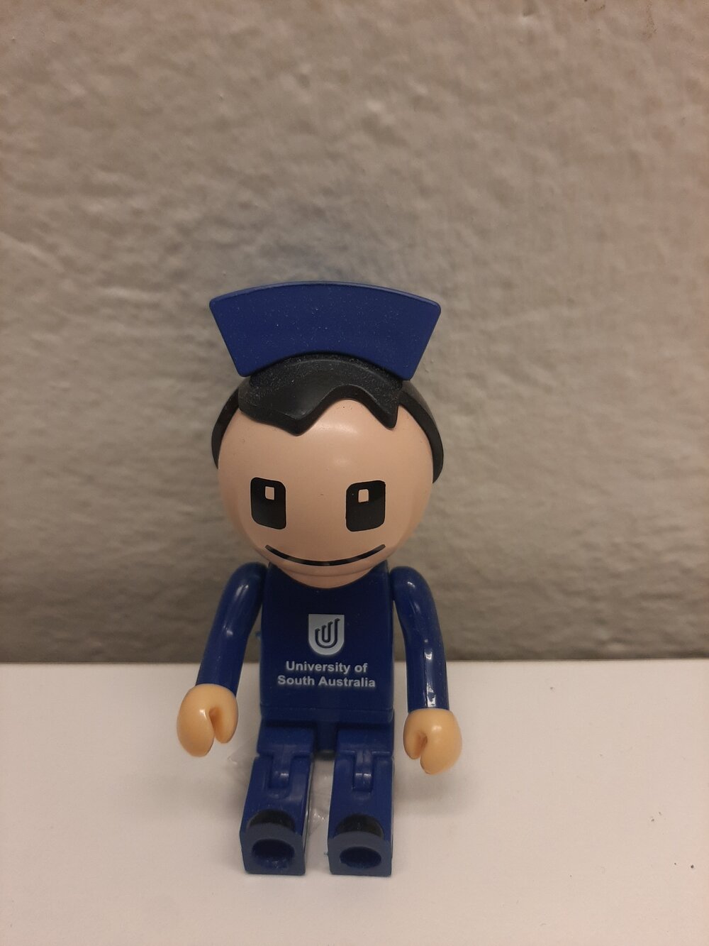 Nursing and Midwifery USB