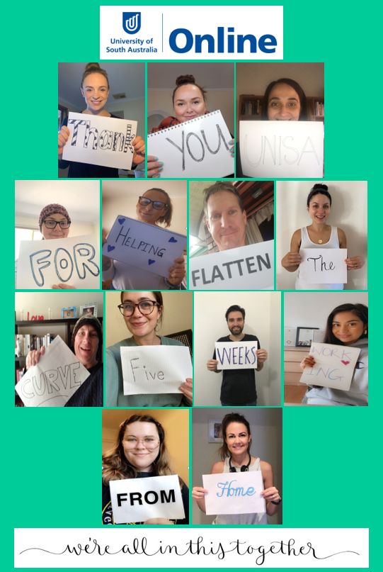 Remote, but United: A Snapshot of Team Spirit