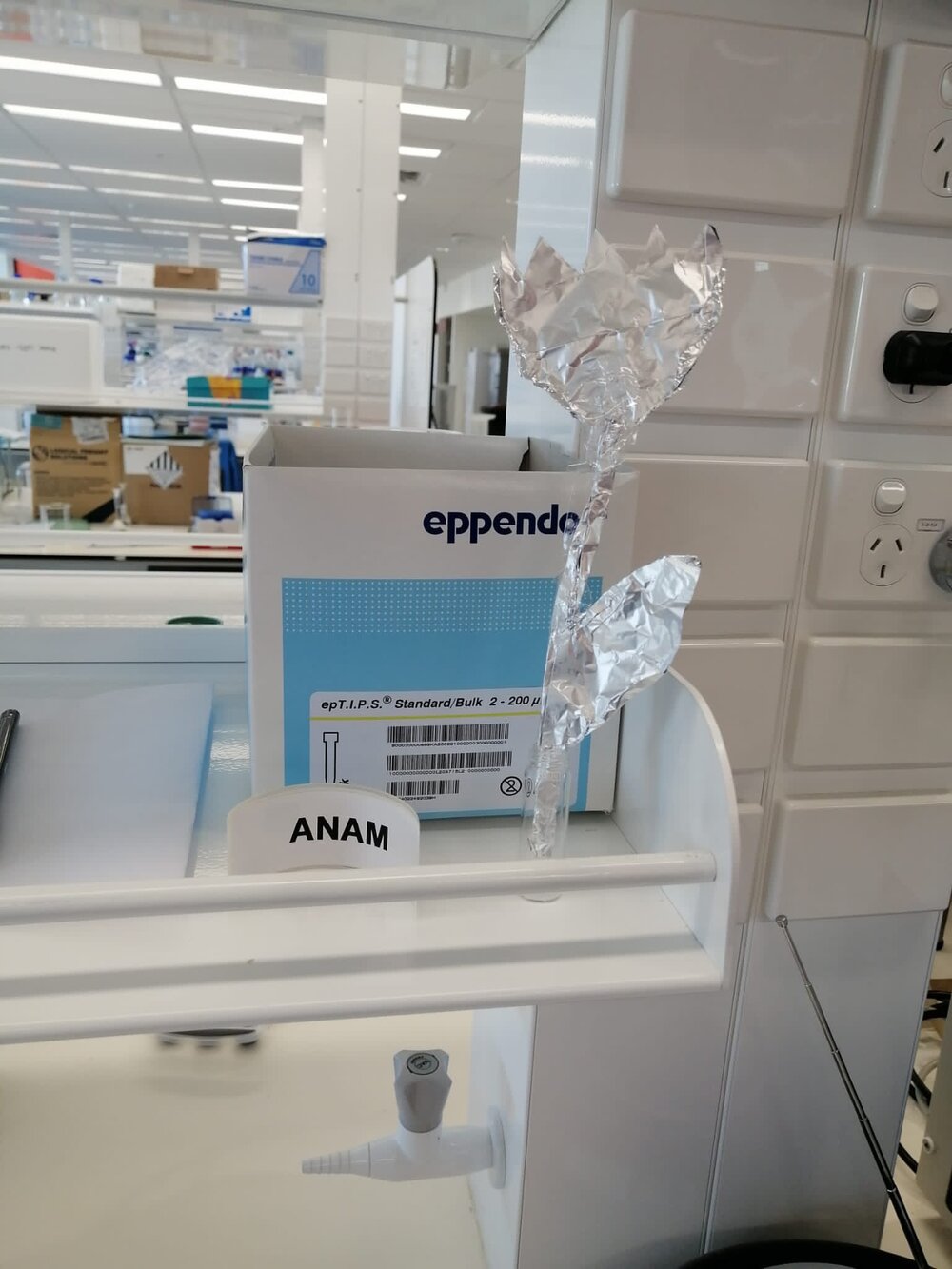 Kindness at My Lab Bench