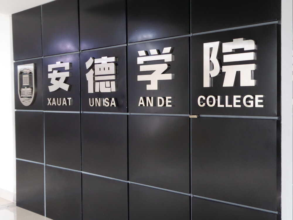 AnDe College Internship 