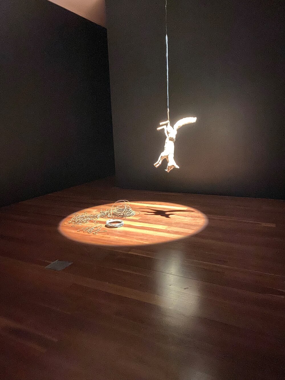 A fox in the Samstag