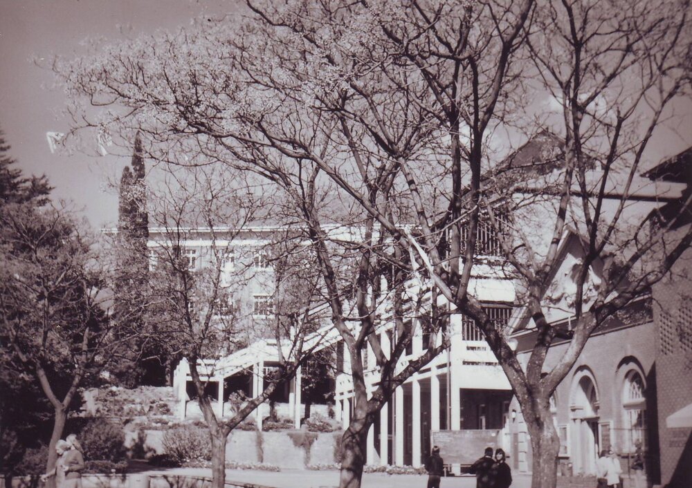 Union Bookshop, c1974