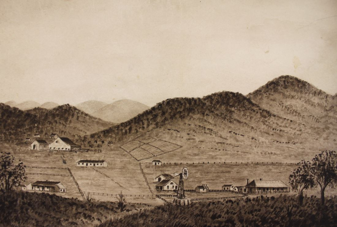 Paratoo Station, managed by Peter Waite