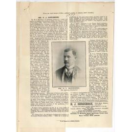 Mr H J Shrosbree - Adelaide - Offering services as Violin maker and repairer