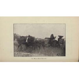 Roseworthy Student Vol 2 No 3 February 1903