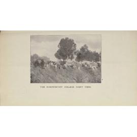 Roseworthy Student Vol 3 No 2 November 1903