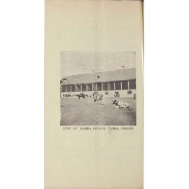 Roseworthy Student Vol 3 No 3 June 1904