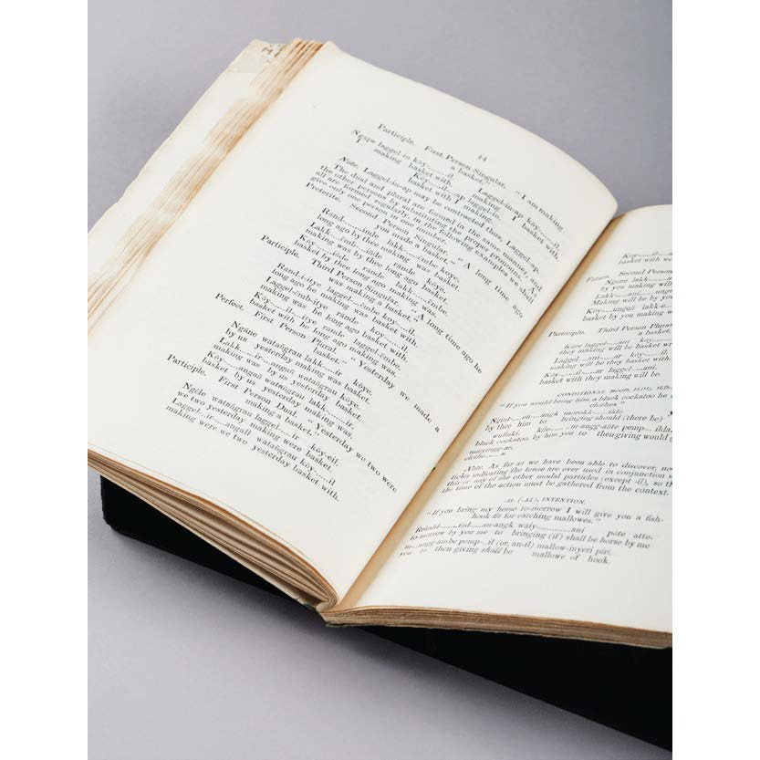 Vignette 142: Documenting Ngarrindjeri vocabulary