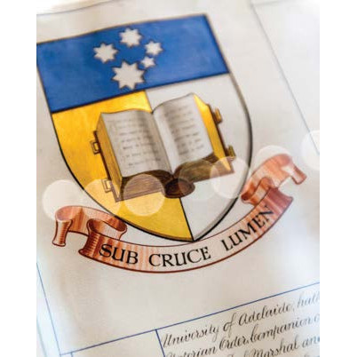 Vignette 131: Our coat of arms