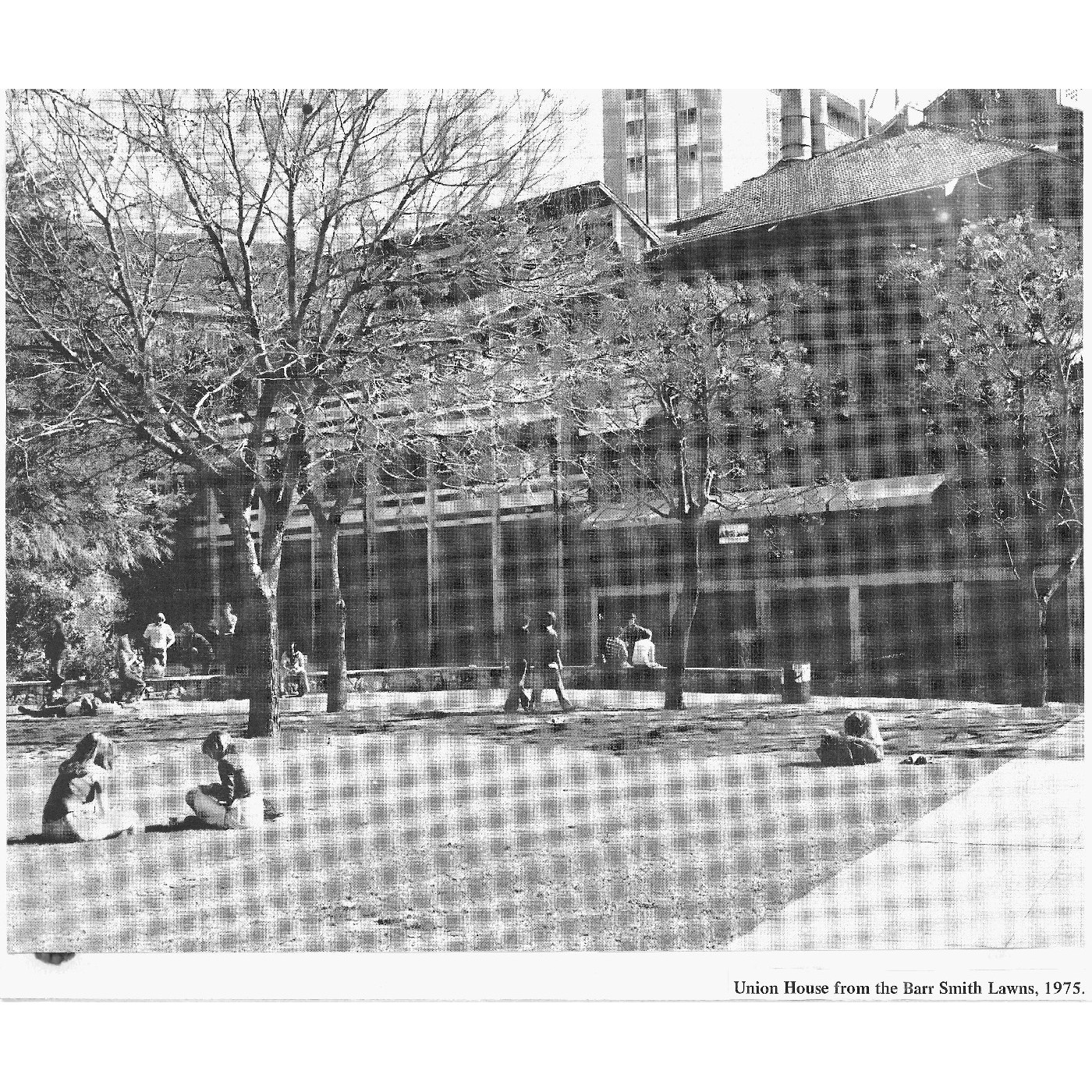 Vignette 128: Barr Smith Lawns