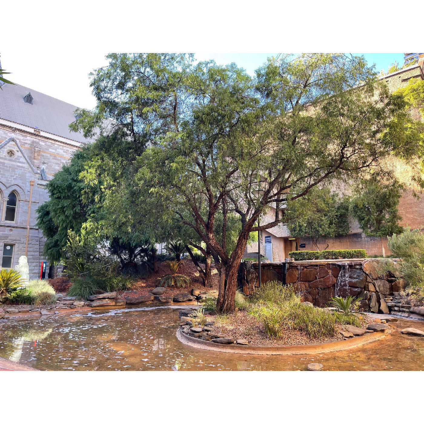 Vignette 123: Wills Court
