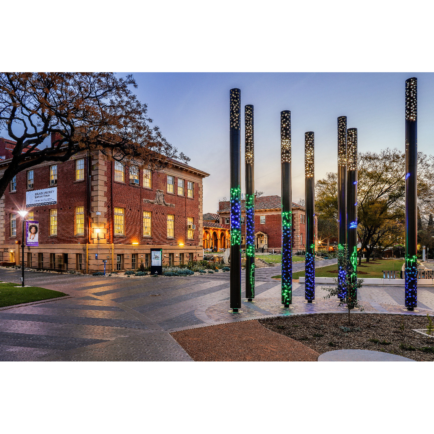 Vignette 100: Wangu Poles