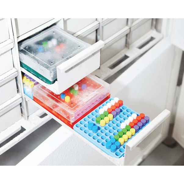 Vignette 91: Advancing scientific research at Biobank