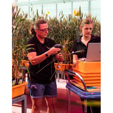 Vignette 81: Plant breeding