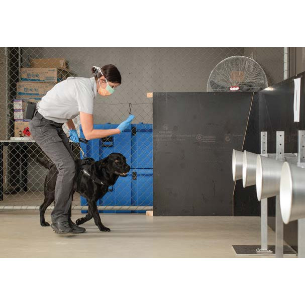 Vignette 45: Disease management with COVID-19 detector dogs