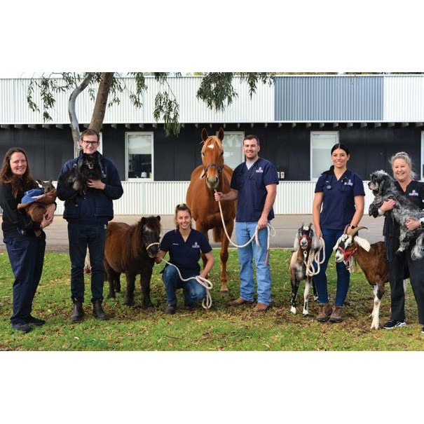 Vignette 42: South Australia's first equine hospital