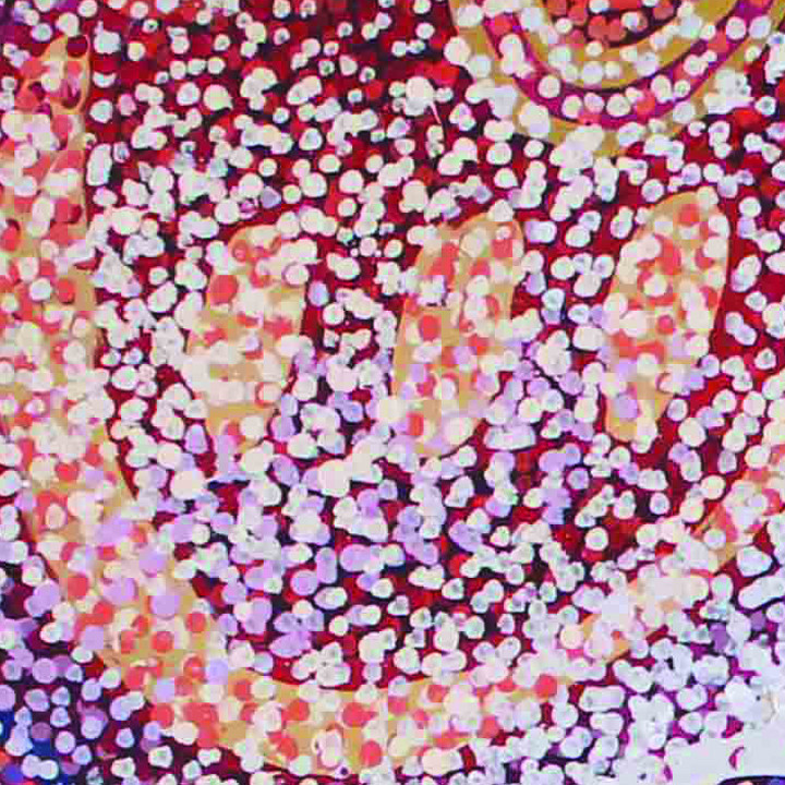 Aboriginal Graduate Program