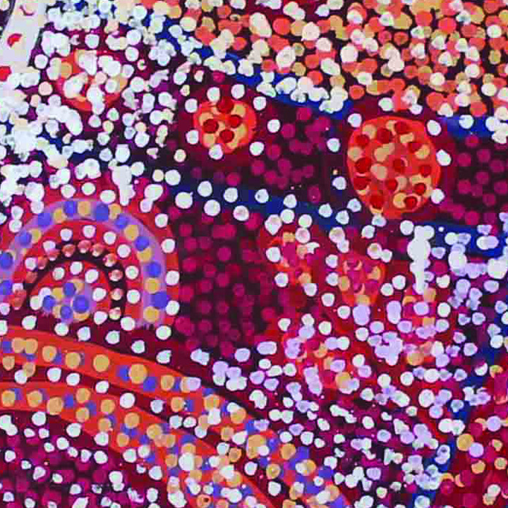 Aboriginal Studies at TEC