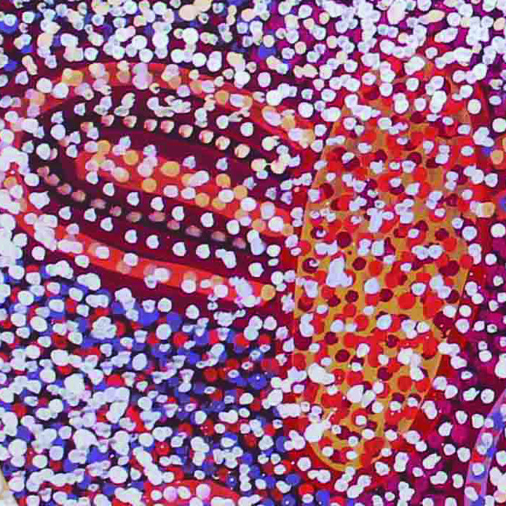 David Unaipon College of Indigenous Education and Research