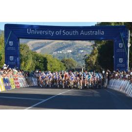 The TDU arch