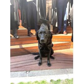 Australia's first pawdiatrist