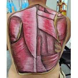 A living excavation, our body our teacher our canvas