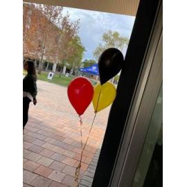 STEM Sausage Sizzle 2022