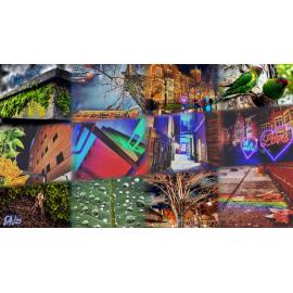 Beauty in the Mundane