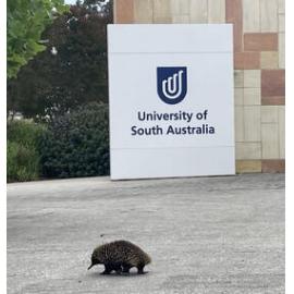 Mount Gambier will accept any student