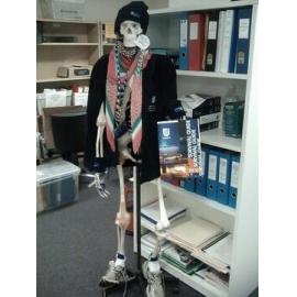 Eric's guide to survival