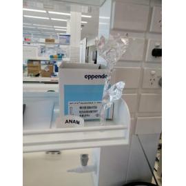 Kindness at My Lab Bench