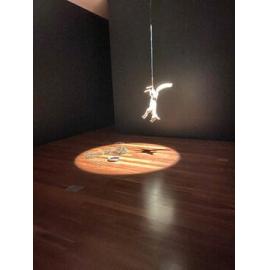 A fox in the Samstag