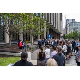 Laying the foundations ...