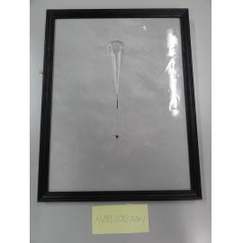 Weather balloon - With Instrument Attached