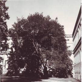 Mitchell Building, c1970