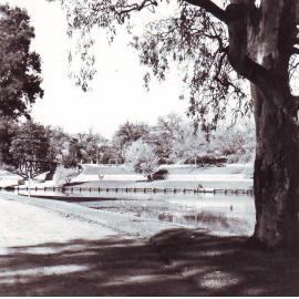 University Footbridge and River Torrens, c1975
