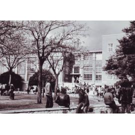 Barr Smith Library, c1973