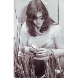 Waite Agricultural Research Institute, c1986