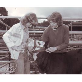Students with Calf , Agricultural Science, Waite Agricultural Research Institute, c1985