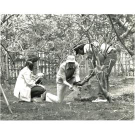 Professor Jack Wilson, c1985